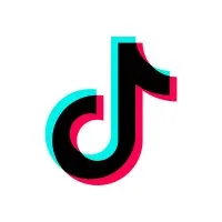 TikTok Ads